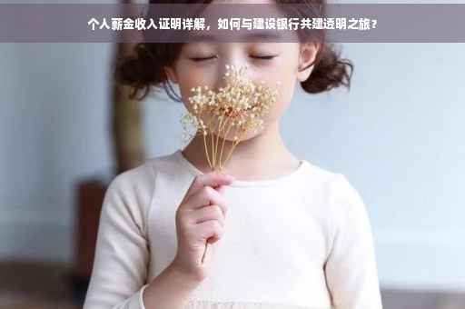 个人薪金收入证明详解，如何与建设银行共建透明之旅？