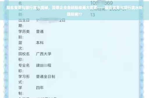 股东变更与银行流水揭秘，洞悉企业金融脉络两大要素——股东变更与银行流水处理指南??