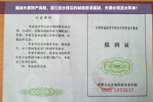 揭秘夫妻财产真相，银行流水背后的秘密故事揭秘，夫妻必看流水账单！
