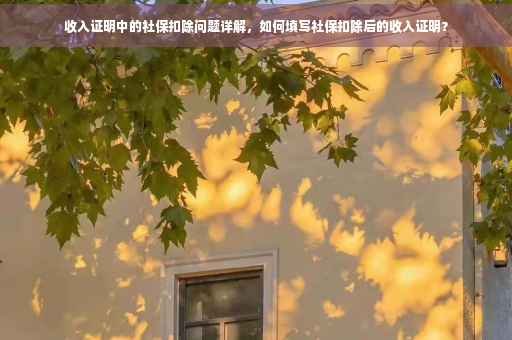 收入证明中的社保扣除问题详解，如何填写社保扣除后的收入证明？