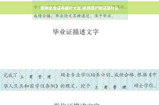 欧洲毕业证书图片大全,欧洲原产地证是什么