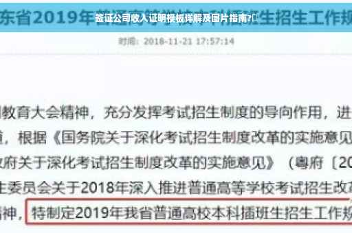 签证公司收入证明模板详解及图片指南?✨