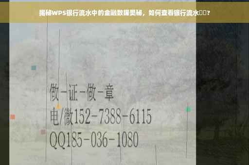 揭秘WPS银行流水中的金融数据奥秘，如何查看银行流水⚡️?