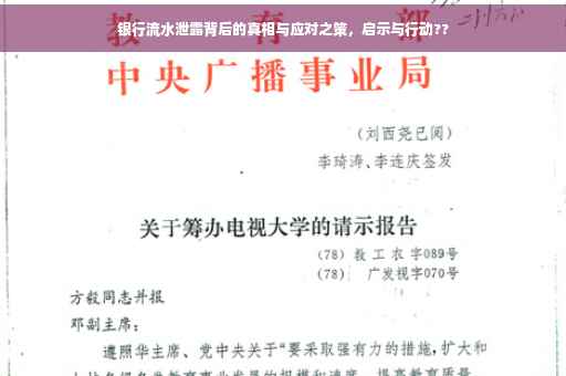 银行流水泄露背后的真相与应对之策，启示与行动??