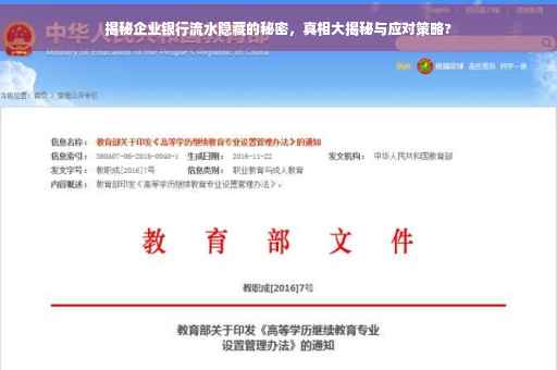 揭秘企业银行流水隐藏的秘密，真相大揭秘与应对策略?