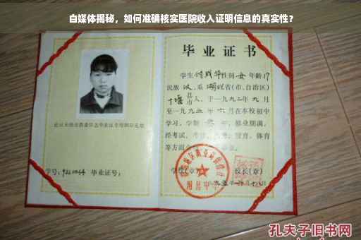 自媒体揭秘，如何准确核实医院收入证明信息的真实性？
