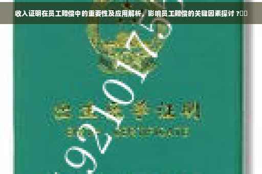 收入证明在员工赔偿中的重要性及应用解析，影响员工赔偿的关键因素探讨 ?⚡️