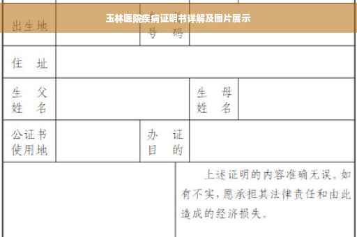 玉林医院疾病证明书详解及图片展示
