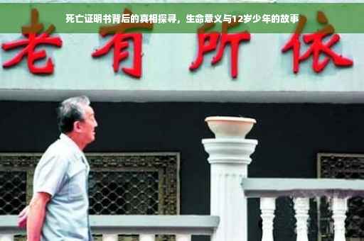 死亡证明书背后的真相探寻，生命意义与12岁少年的故事