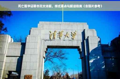 死亡医学证明书范文详解，格式要点与解读指南（含图片参考）