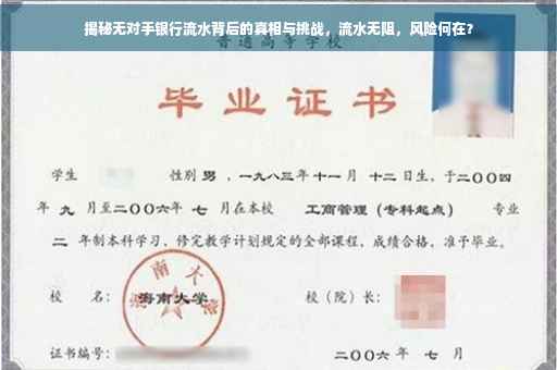 揭秘无对手银行流水背后的真相与挑战，流水无阻，风险何在？
