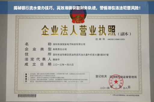 揭秘银行流水查办技巧，高效准确获取财务轨迹，警惕潜在违法犯罪风险！