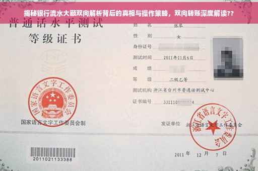 揭秘银行流水大额双向解析背后的真相与操作策略，双向转账深度解读??