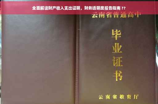 全面解读财产收入支出证明，财务透明度报告指南 ??