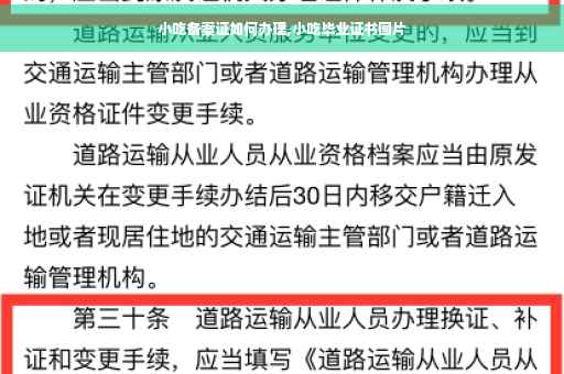 小吃备案证如何办理,小吃毕业证书图片