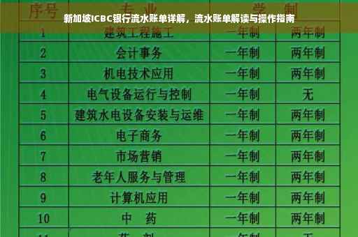新加坡ICBC银行流水账单详解，流水账单解读与操作指南