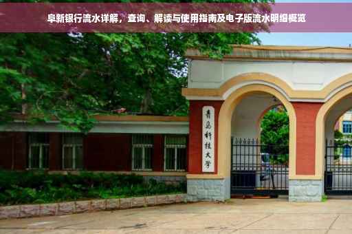 阜新银行流水详解，查询、解读与使用指南及电子版流水明细概览