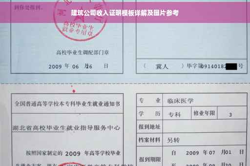 建筑公司收入证明模板详解及图片参考