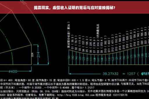 揭露现实，虚假收入证明的背后与应对策略揭秘?