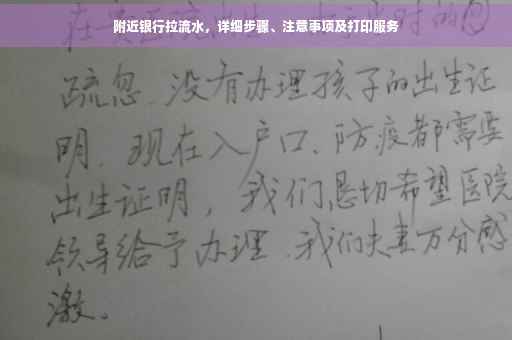 附近银行拉流水，详细步骤、注意事项及打印服务