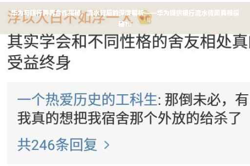 华为与银行跨界合作揭秘，流水背后的深度解析——华为提供银行流水传闻真相探秘?✨