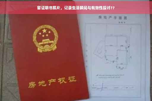 留证明书照片，记录生活瞬间与有效性探讨??