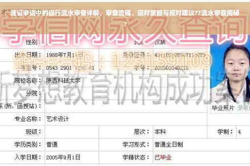 签证申请中的银行流水审查详解，审查流程、应对策略与应对建议??流水审查揭秘?