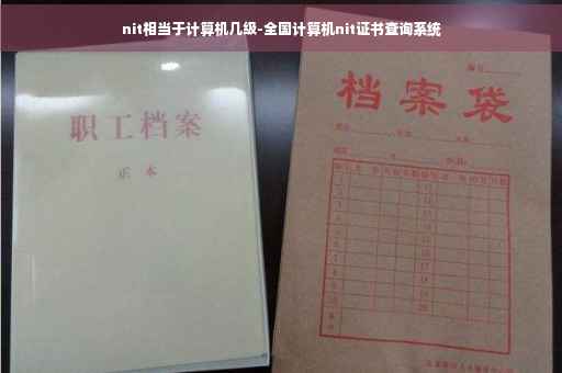nit相当于计算机几级-全国计算机nit证书查询系统