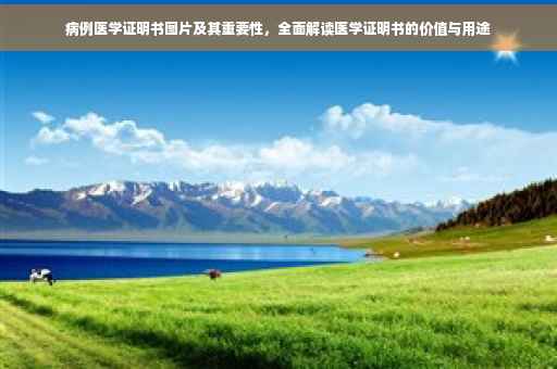 病例医学证明书图片及其重要性，全面解读医学证明书的价值与用途