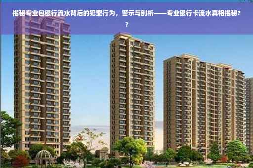 揭秘专业包银行流水背后的犯罪行为，警示与剖析——专业银行卡流水真相揭秘??
