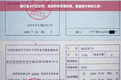 银行流水打印软件，高效财务管理利器，便捷操作体验之选！