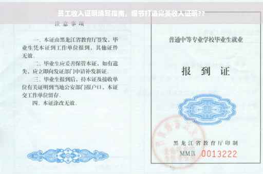 员工收入证明填写指南，细节打造完美收入证明??