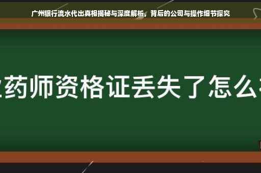 广州银行流水代出真相揭秘与深度解析，背后的公司与操作细节探究