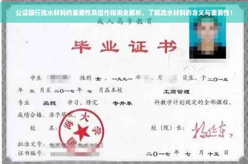 公证银行流水材料的重要性及操作指南全解析，了解流水材料的含义与重要性！