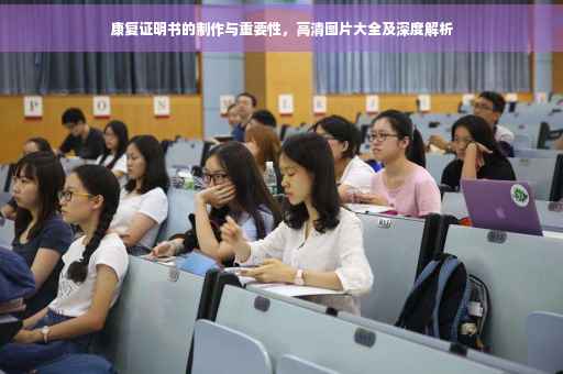 康复证明书的制作与重要性，高清图片大全及深度解析