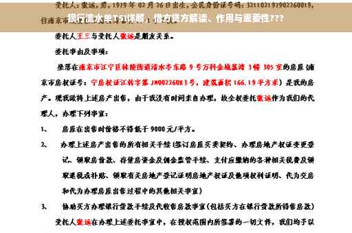 银行流水单TSI详解，借方贷方解读、作用与重要性???