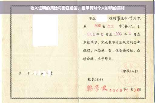 收入证明的风险与潜在危害，揭示其对个人影响的真相