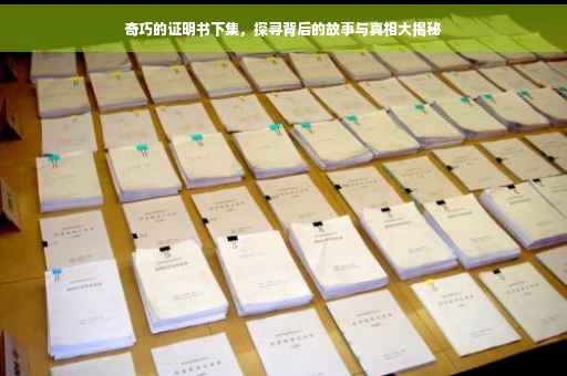奇巧的证明书下集，探寻背后的故事与真相大揭秘