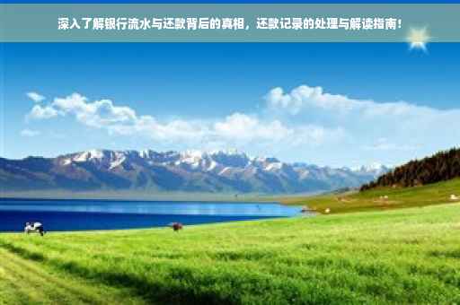 深入了解银行流水与还款背后的真相，还款记录的处理与解读指南！