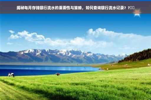 揭秘每月存钱银行流水的重要性与策略，如何查询银行流水记录？?⚡️