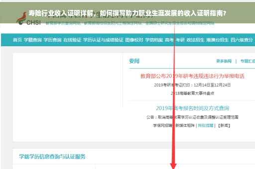 寿险行业收入证明详解，如何撰写助力职业生涯发展的收入证明指南？