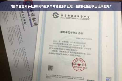?刚毕业公司开社保账户要多久才能查到?五险一金如何查到学历证明信息?