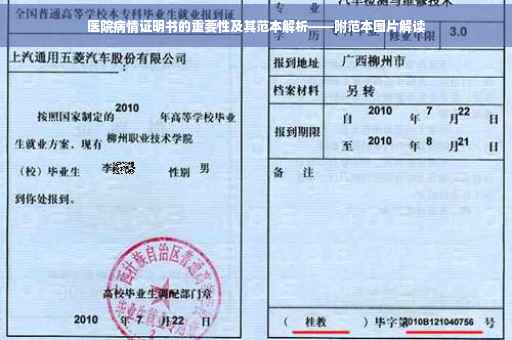 医院病情证明书的重要性及其范本解析——附范本图片解读