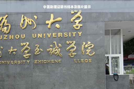 中医助理证明书样本及图片展示