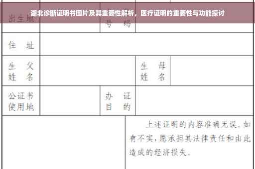 湖北诊断证明书图片及其重要性解析，医疗证明的重要性与功能探讨