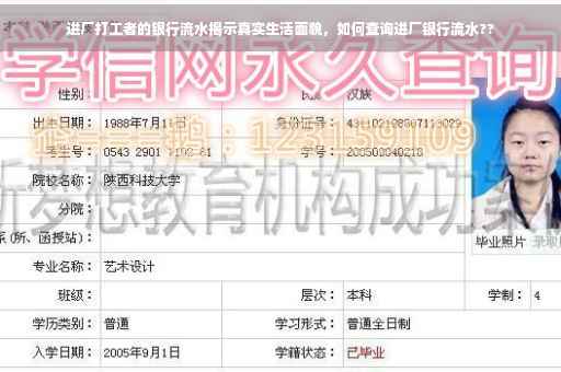 进厂打工者的银行流水揭示真实生活面貌，如何查询进厂银行流水??