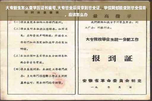 大专新生怎么查学历证书编号,大专毕业后没拿到毕业证，学信网却能查到毕业信息，应该怎么办