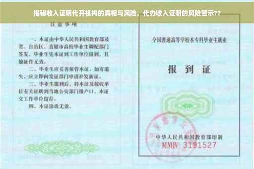 揭秘收入证明代开机构的真相与风险，代办收入证明的风险警示??