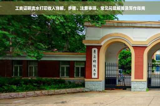工资证明流水打印收入详解，步骤、注意事项、常见问题解答及写作指南