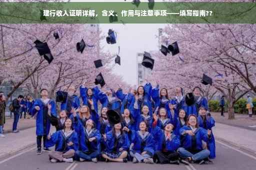 建行收入证明详解，含义、作用与注意事项——填写指南??